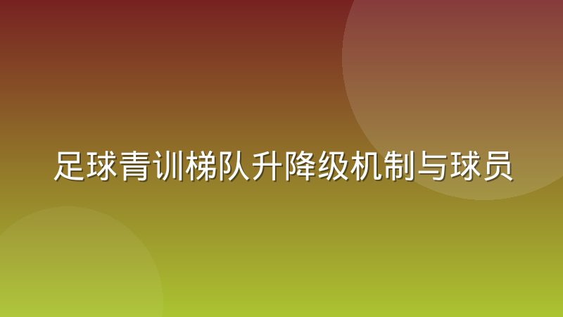 足球青训梯队升降级机制与球员注册规则解析