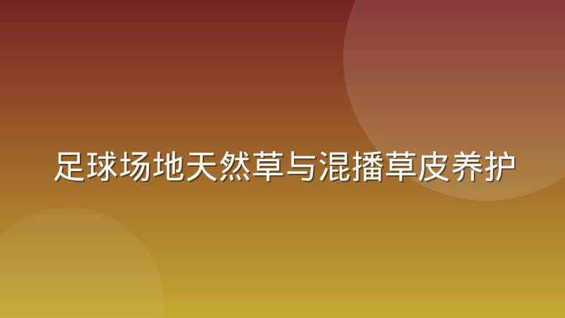 足球场地天然草与混播草皮养护成本差异实录解析
